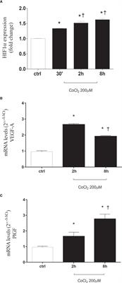 Stabilization of HIF-1α in Human Retinal Endothelial Cells Modulates Expression of miRNAs and Proangiogenic Growth Factors